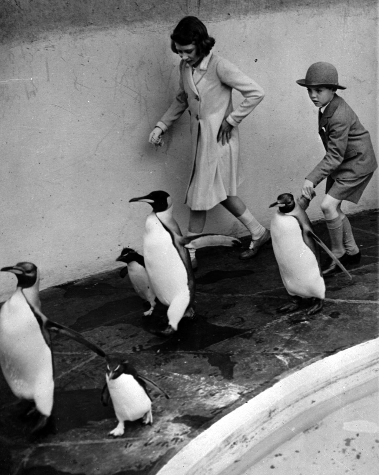 1938: Penguins